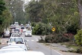 Traffic backs up as it slows to avoid debris on the road outside Ferny Grove High School