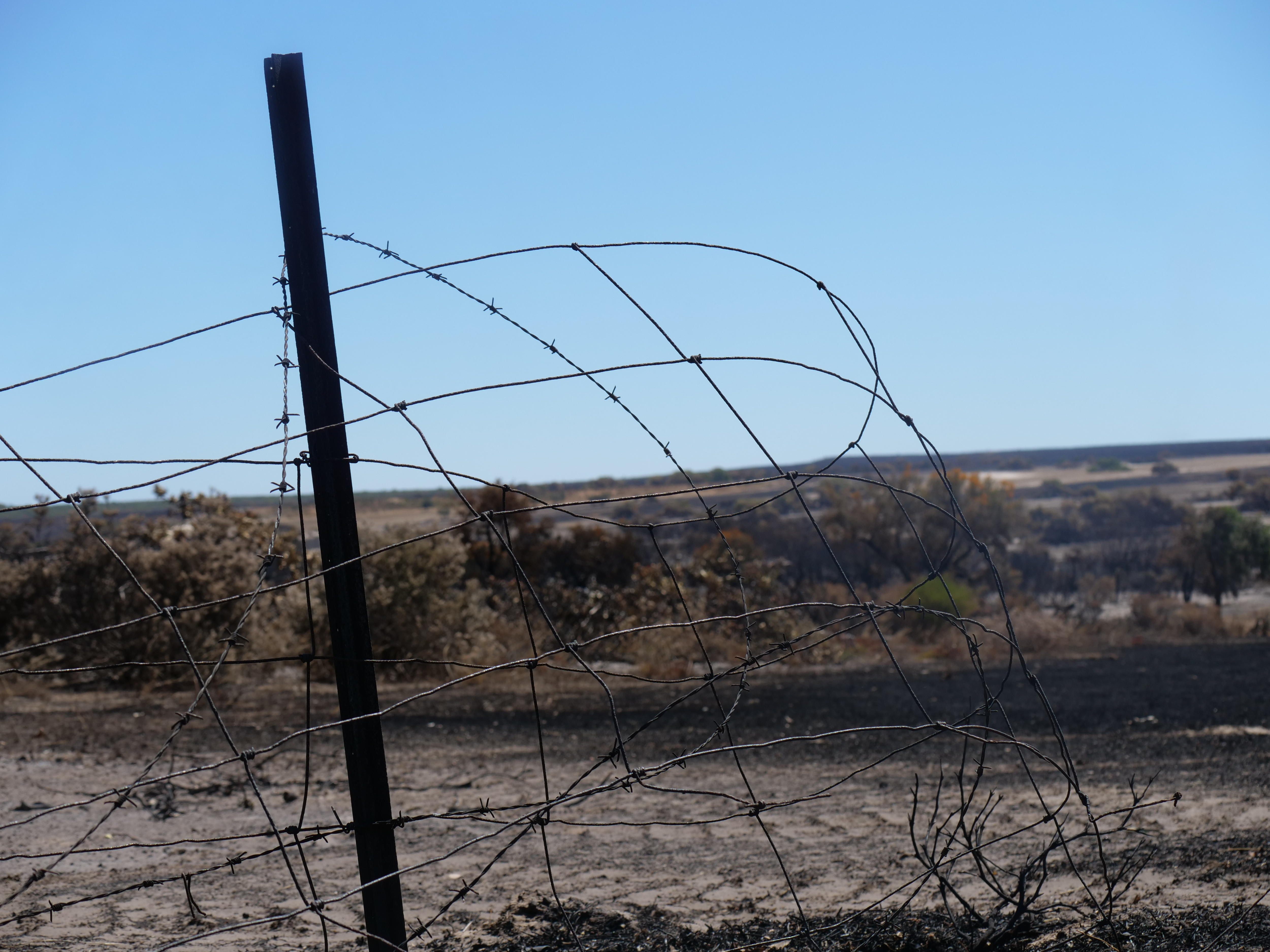 foto aproximada de cercas queimadas em um prado queimado