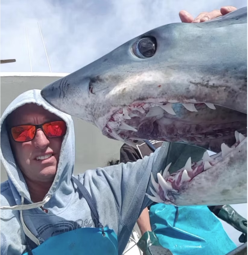 Jason Moyce tirando uma selfie com um tubarão.