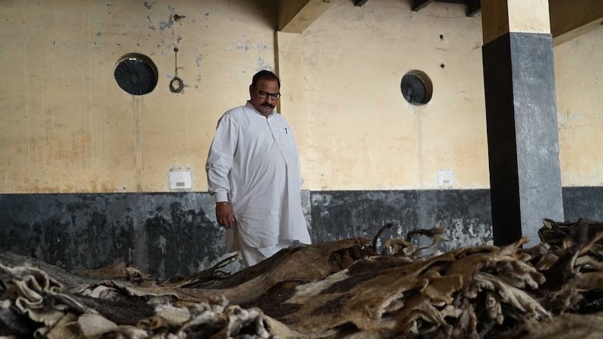 Leather trader Seth Satpal Mall amid hides.