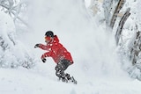 Person wearing red ski gear on snowboard in snowy forest