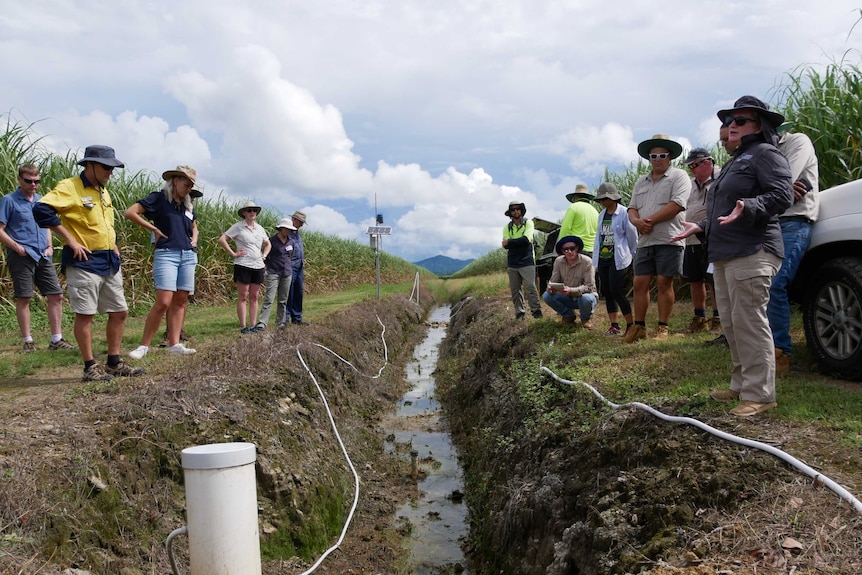 Two groups of people stand either side of a channel trench lined with cords and equipment in a rural field.