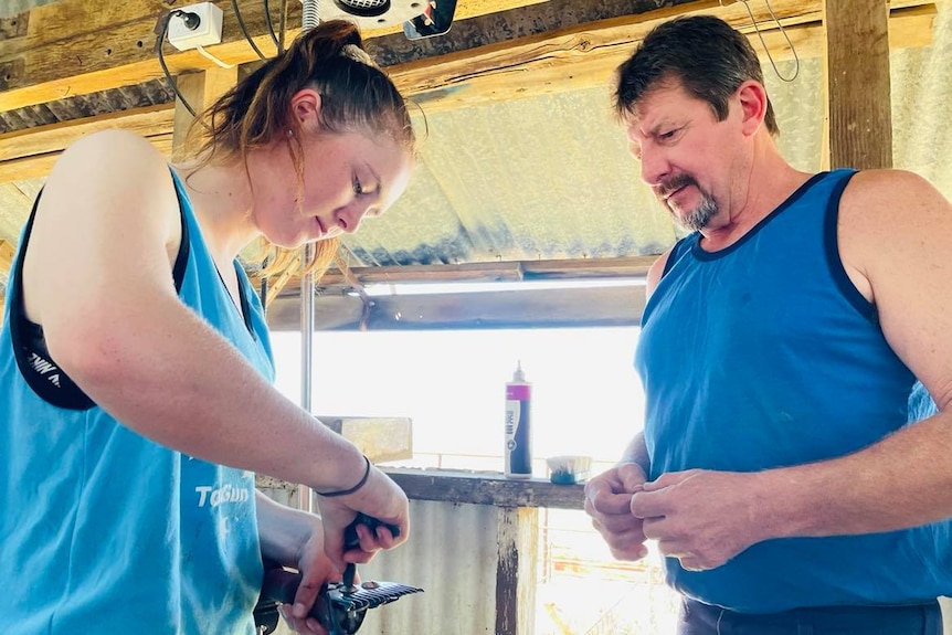 A young women puts together shearing equipment in a shearing shed, while being supervised by trainer.