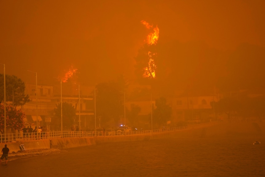 A village on the island of Evia is blanketed in orange haze as a nearby trees goes up in flames