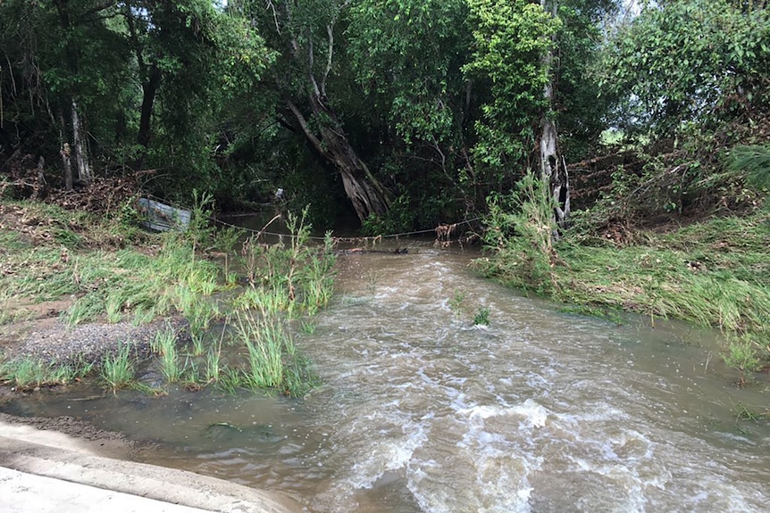 A creek flows from a road causeway into thick tree cover