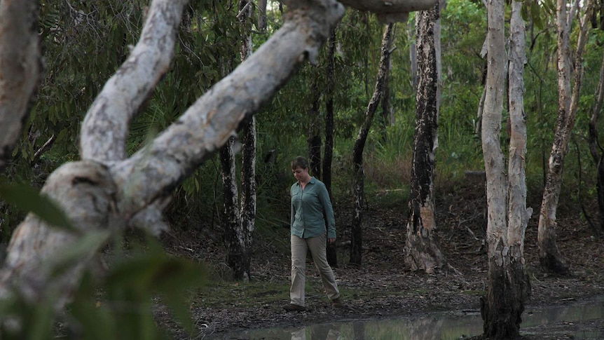 Researcher Dr Jodi Rowley walks through wetland in outer Darwin.