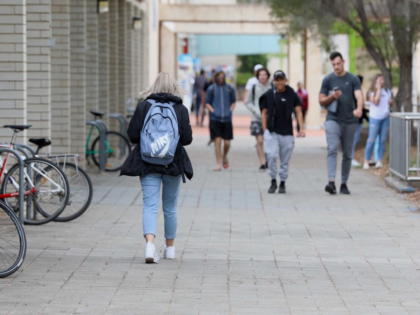 Students, wearing backpacks, walk through a university.