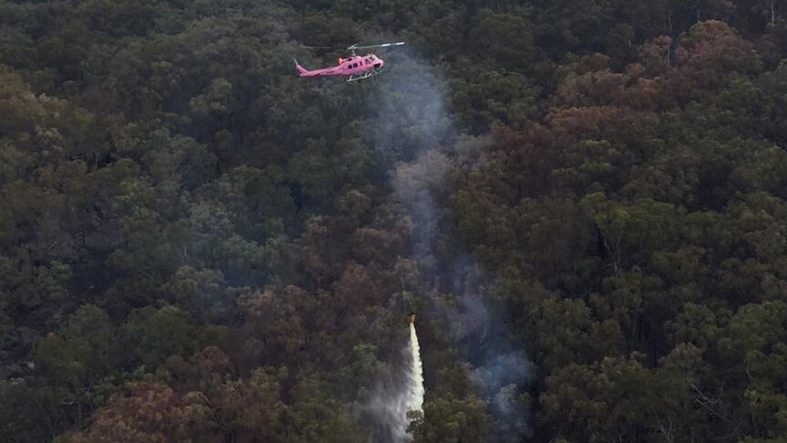 A pink water bombing helicopter drops a bucket of water on a heavily timbered mountain fire
