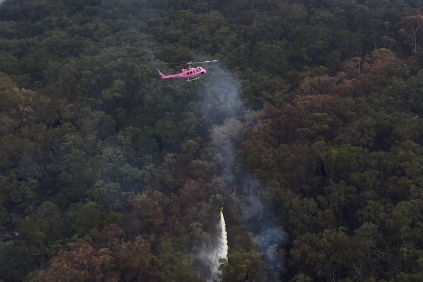 A pink water bombing helicopter drops a bucket of water on a heavily timbered mountain fire