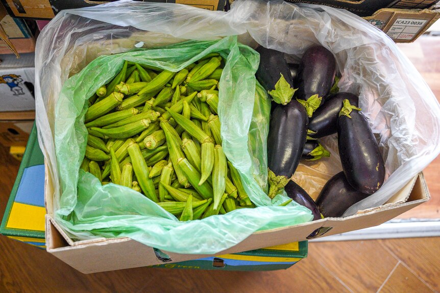 Bright green okra vegetables sit next to a few eggplants in a cardboard box.