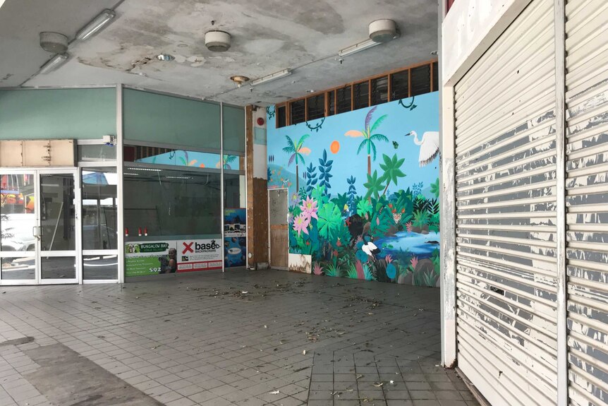 Empty shops in Townsville's CBD.