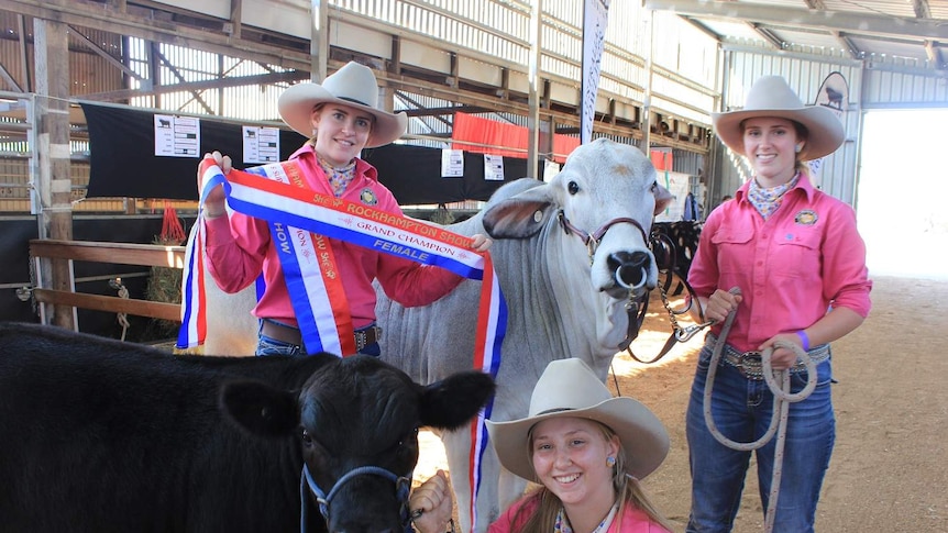 school girls with cattle at a show
