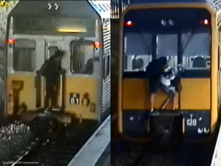 Sydney trains Number of people caught 'surfing' on public transport