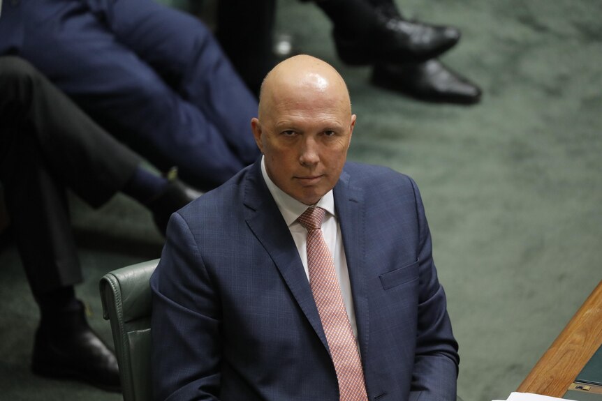 Dutton looks at the camera with a slight smile, sitting at the dispatch box in the lower house.