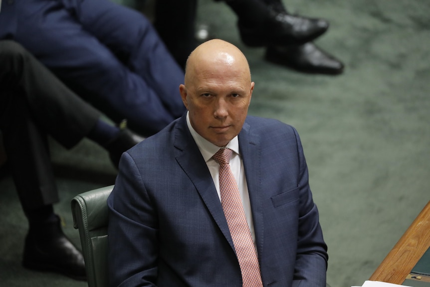 Dutton looks at the camera with a slight smile, sitting at the dispatch box in the lower house.