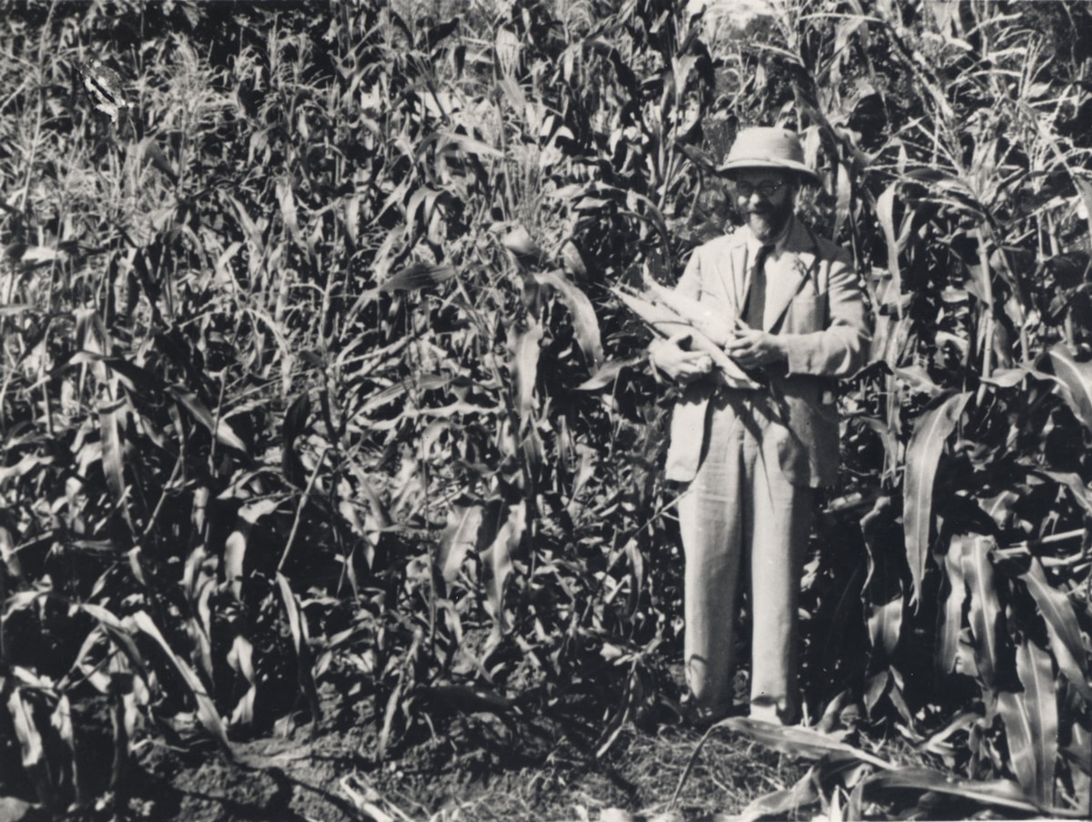 How the Kimberley almost became Australia's Israel