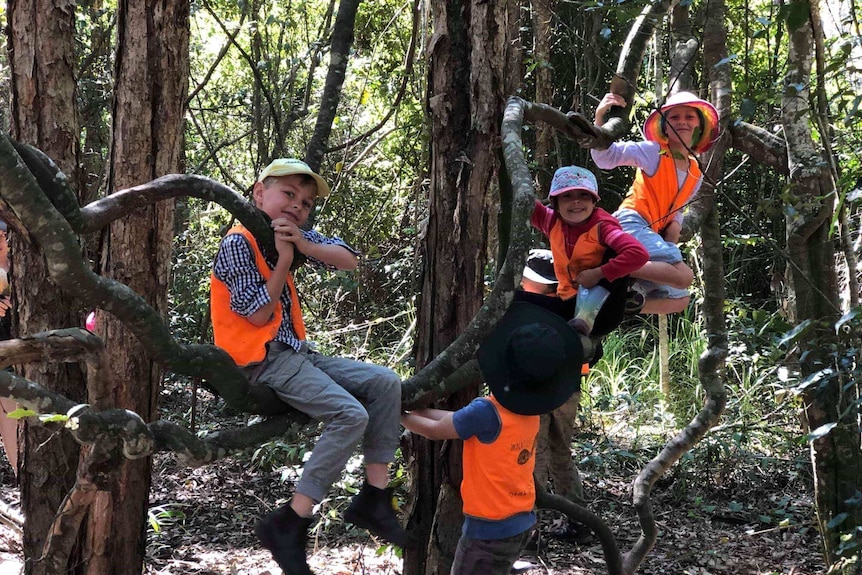 A group of children sit on a tree vine in a bushland area.