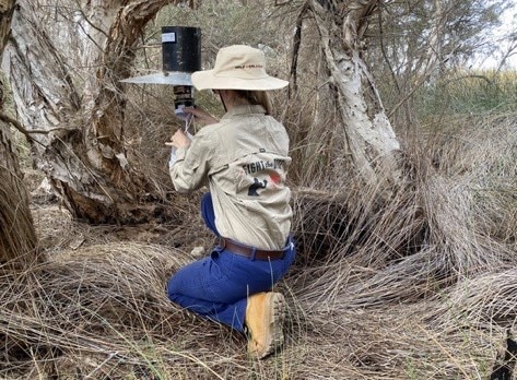 A person wearing blue pants and a beige shirt, crouching down near a mosquito catching device.