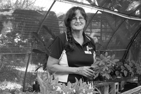 A black and white image of a woman in a greenhouse.