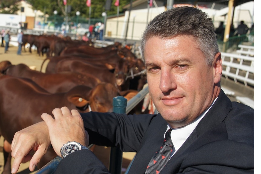 Man in suit standing at fence of cattle saleyard