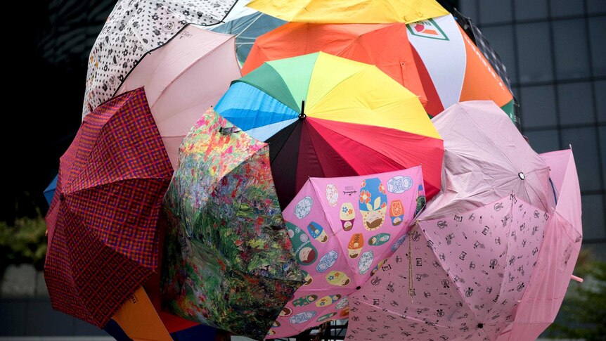 Umbrellas in Hong Kong