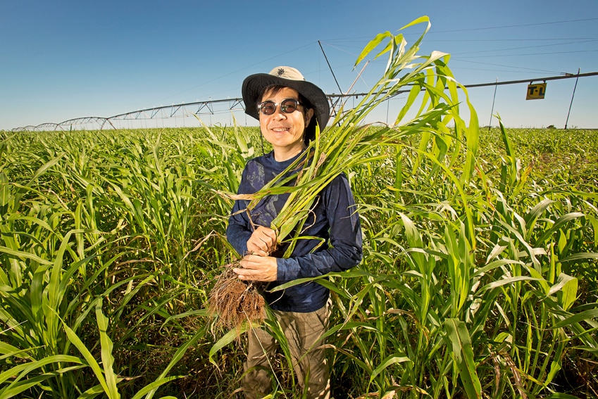 Pilbara ag pioneer Bruce Cheung