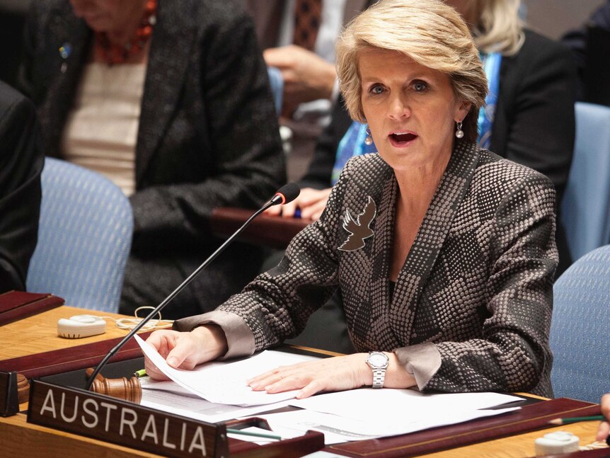 Julie Bishop speaks at a Security Council meeting on small arms.