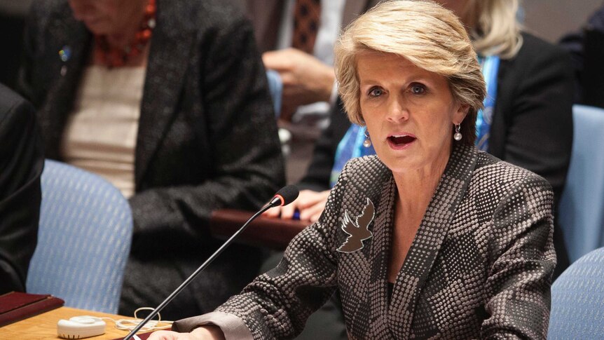 Julie Bishop speaks at a Security Council meeting on small arms.