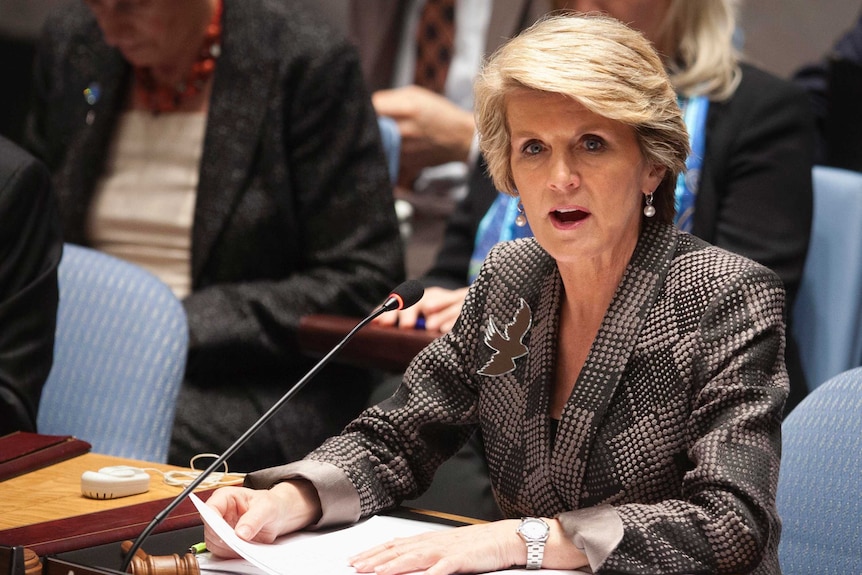 Julie Bishop also announced that Australia would try for another spot on the UN Security Council.