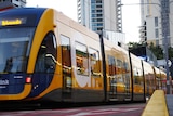 A yellow and blue light rail vehicle is stationary at a stop in Surfers Paradise. Tall buildings are in the distance