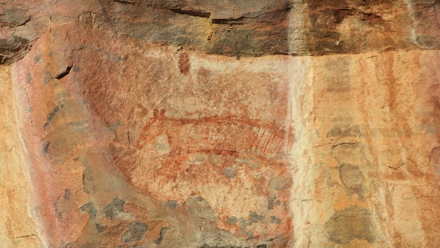 A Tasmanian Tiger painting on a rock wall in Arnhem Land