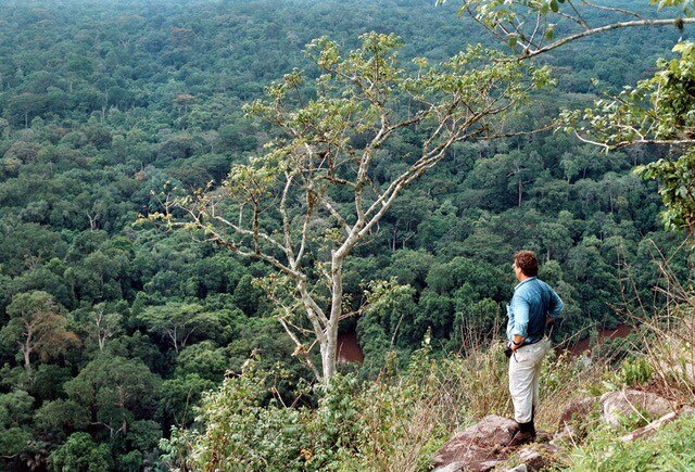 A man stands on the top a mountain looking over rainforest.