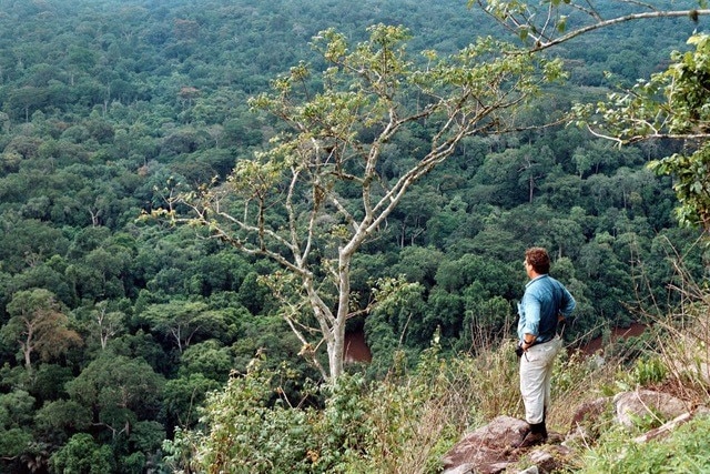 A man stands on the top a mountain looking over rainforest.
