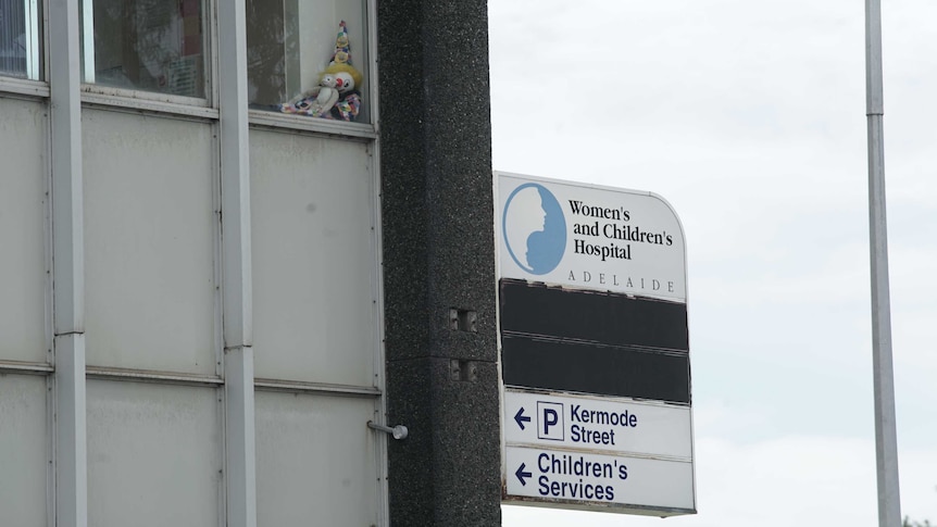 Teddy bears sit in the window of a hospital near a sign that reads Women's and Children's Hospital Adelaide
