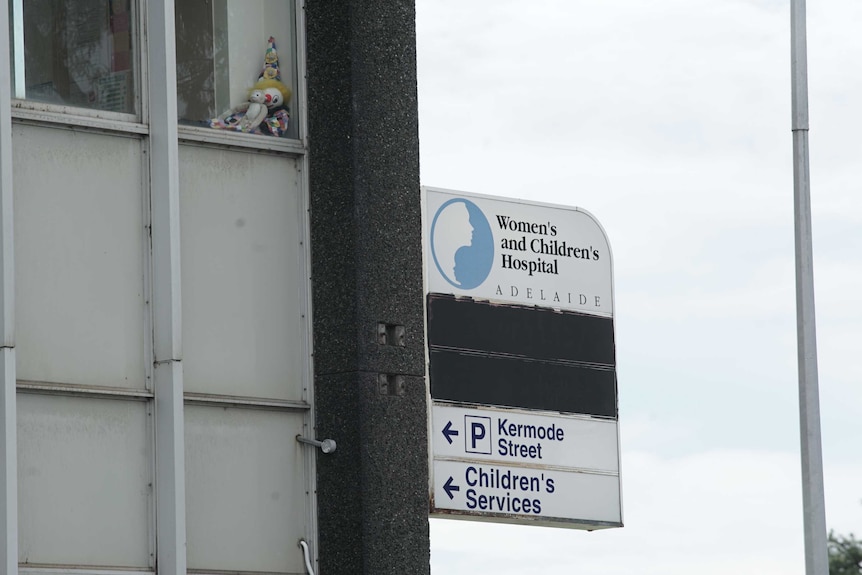 Teddy bears sit in the window of a hospital near a sign that reads Women's and Children's Hospital Adelaide