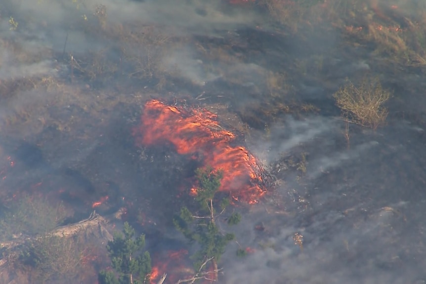 Flames burning vegetation near Mount French