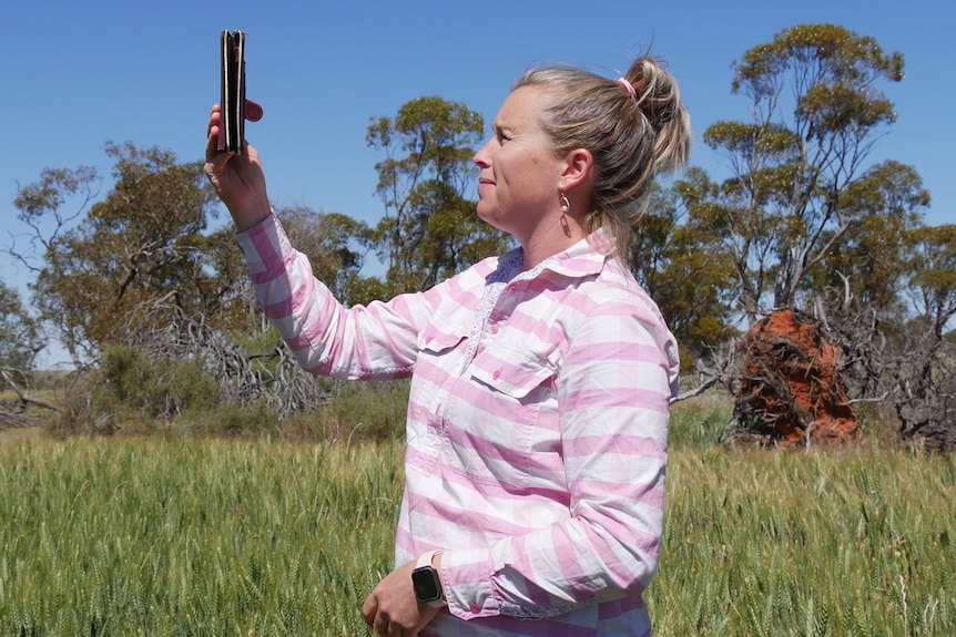 Une femme en vêtements agricoles se tient dans un enclos de blé vert.  Elle tient son portable haut à la recherche d'un signal.