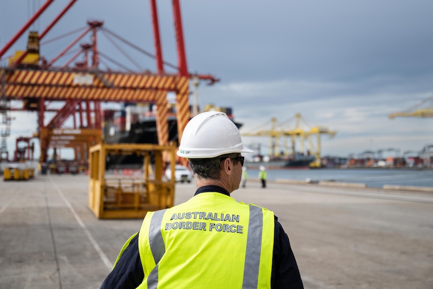 A man wearing a hi-vis vest with "Australian Border Force" written on it, at a port.