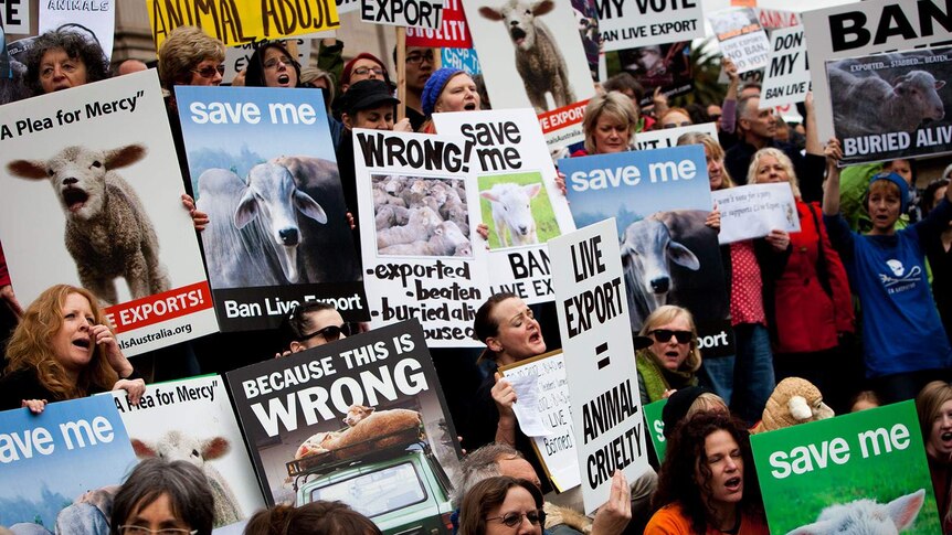 Hundreds rally against live exports in Melbourne
