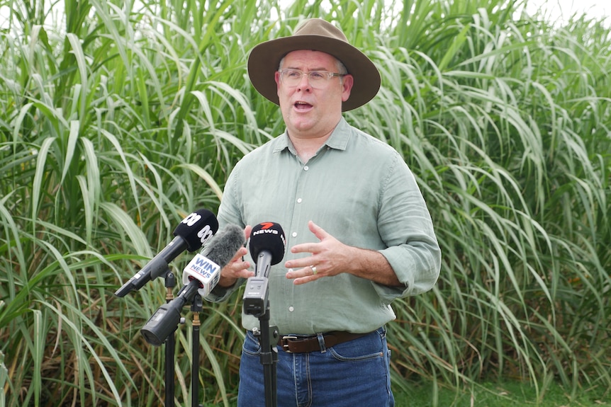 Minister Watt standing in front of media microphones in a cane field