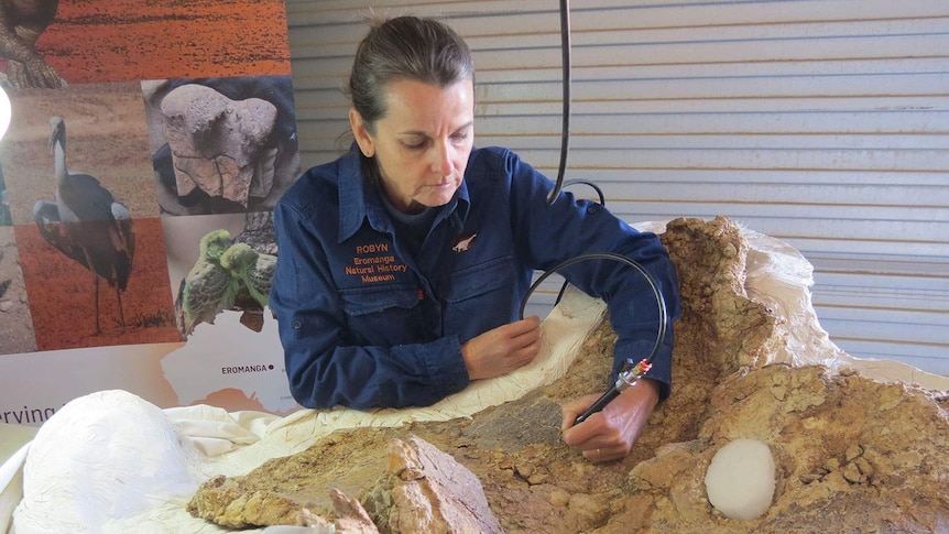 Robyn Mackenzie, the collections manager for the Eromanga Natural History Museum