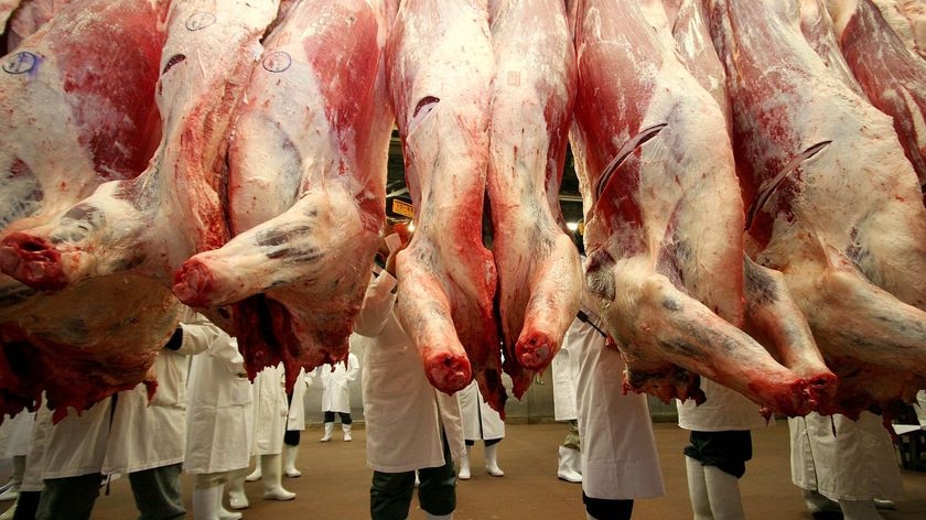 AACo flags start of work on $85m northern abattoir