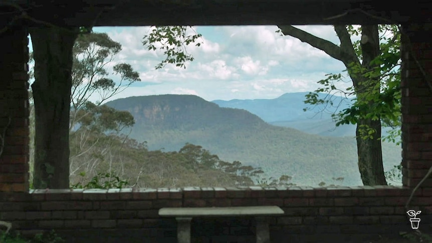 View to the mountains through an opening in a garden wall.