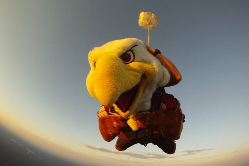 Jumping with mascot in America