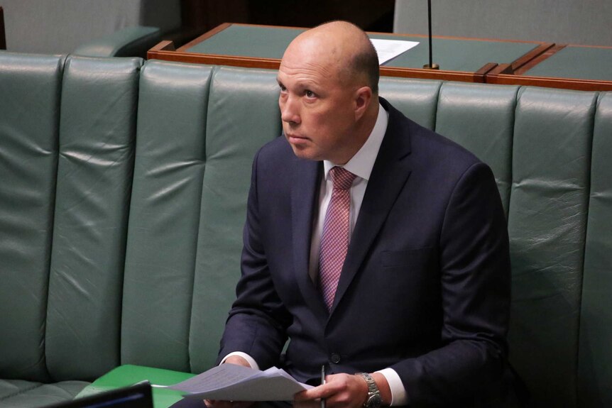 Peter Dutton glances upwards with a sheepish expression on his face, holding papers in his lap.