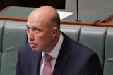 Peter Dutton glances upwards with a sheepish expression on his face, holding papers in his lap.