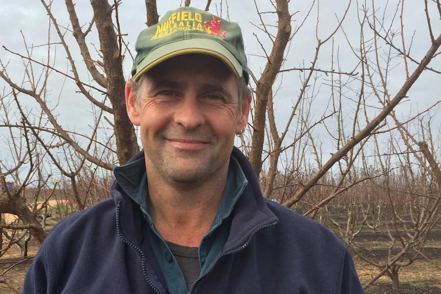 Stone fruit grower Jason Size at his Loxton property.