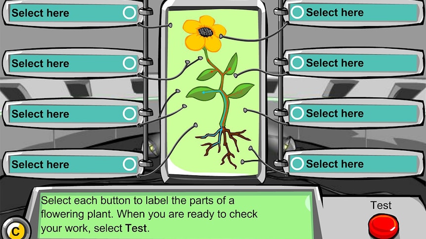 Cartoon image flower with many labels with text "Select here"
