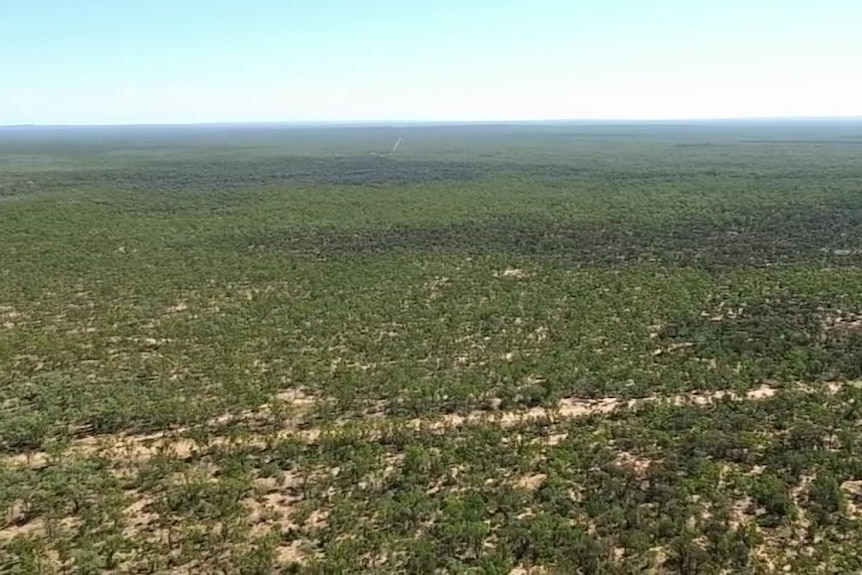 Drone vision overlooking green field where Adani is planning its proposed Carmichael coal mine