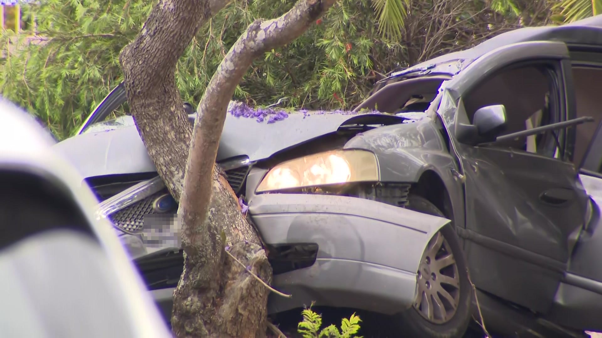 side view of a crashed where two boys who were passengers died in  the Sydney south-west suburb of Ashcroft